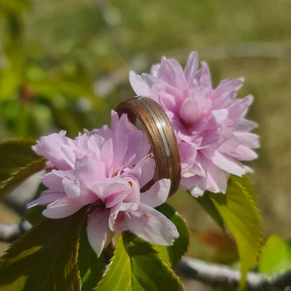 Walnut and brass hand made bent wood ring