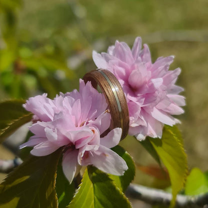 Walnut and brass ring - Hand made bent wood ring - Wooden wedding band - Engagement ring - Natural jewellery