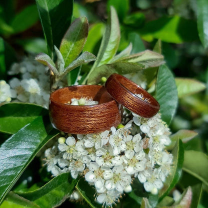 Sapele hand made bent wood ring
