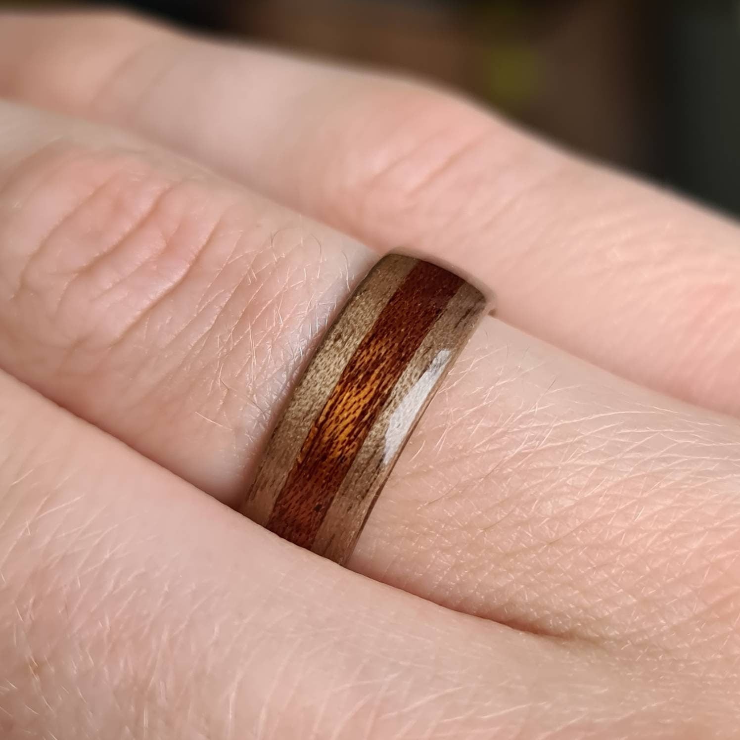 Walnut and sapele hand made bent wood ring