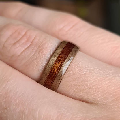 Walnut and sapele hand made bent wood ring