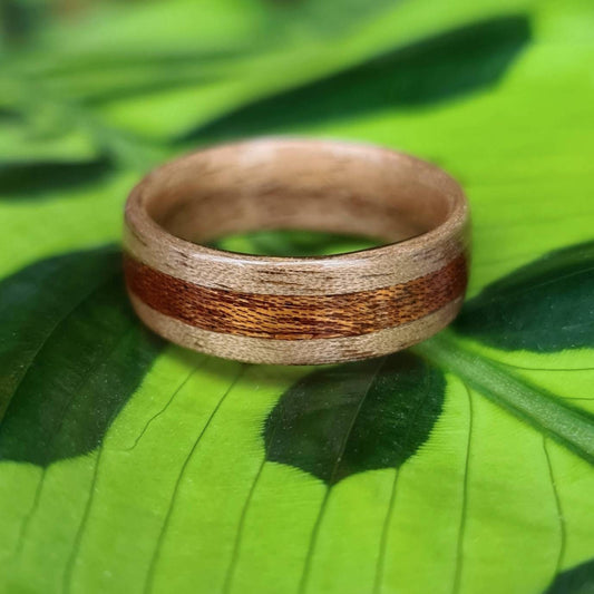 Walnut and sapele hand made bent wood ring