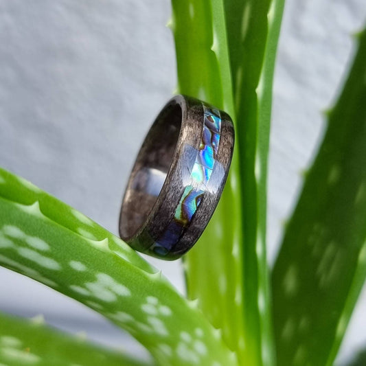 Silver birdseye maple and abalone paua shell hand made bent wood ring