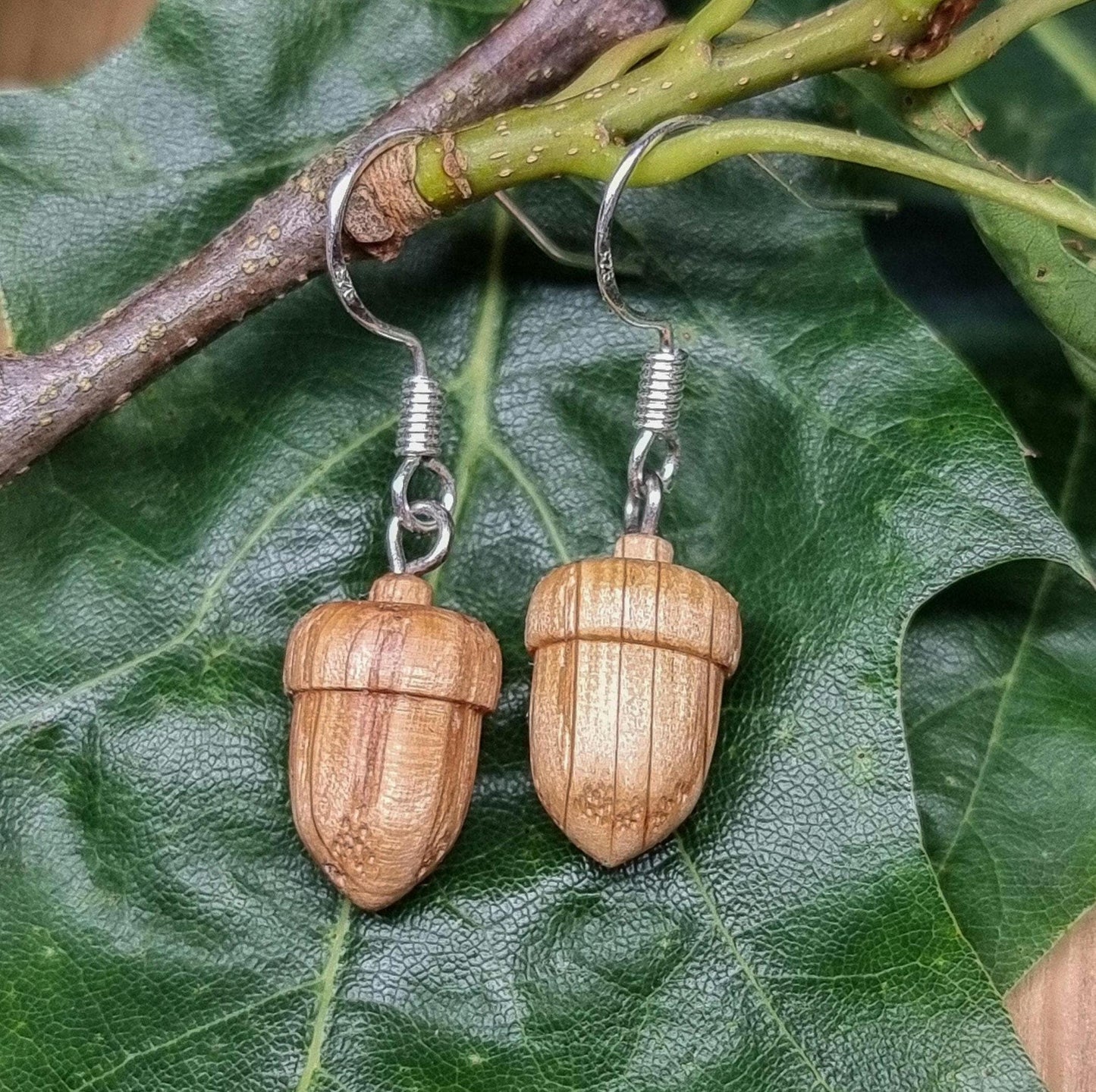 Oak acorn and sterling silver dangle / drop earrings - Wooden earrings - Natural earrings