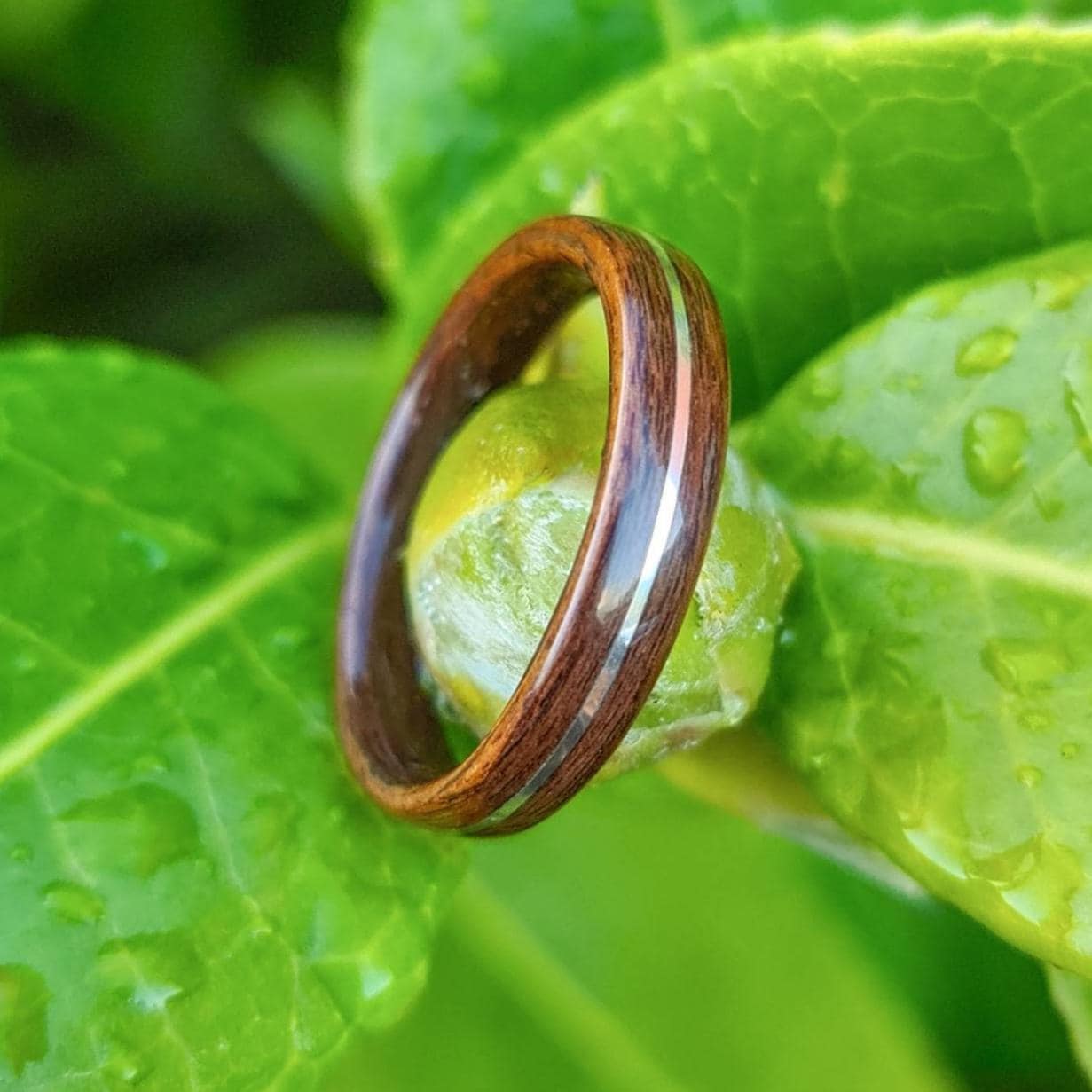 Rosewood and sterling silver hand made bent wood ring
