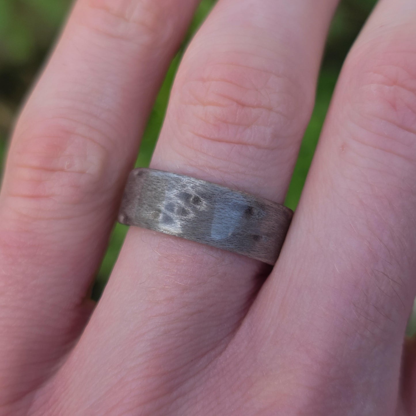 Silver birdseye maple hand made bent wood ring