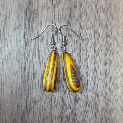 Rainbow striped wood & surgical stainless steel dangle drop earrings